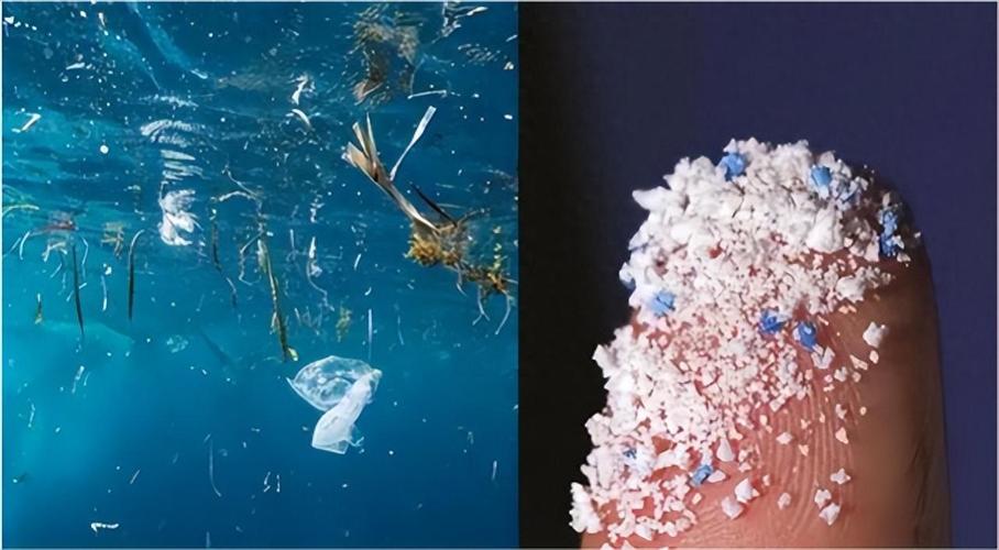 人类血液中首次发现微塑料源自日用品